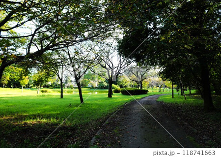 暑さが過ぎた静かな秋 池のある公園 暑さが過ぎた静かな秋 池のある公園 118741663