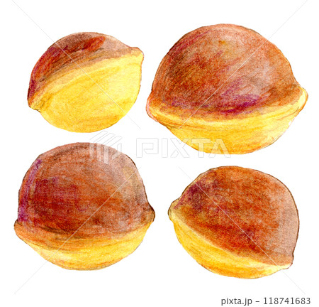 水彩イラスト 手描きの鈴カステラ 水彩イラスト 手描きの鈴カステラ 118741683