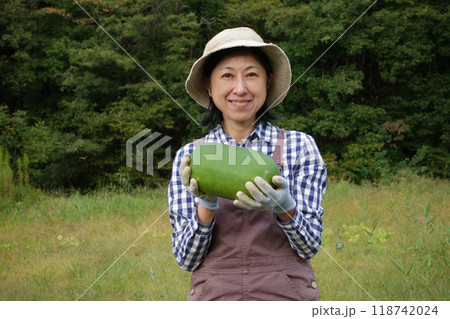 冬瓜を収穫する中年女性 118742024