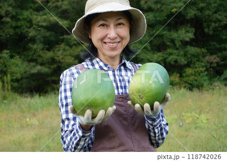 冬瓜を収穫する中年女性 118742026