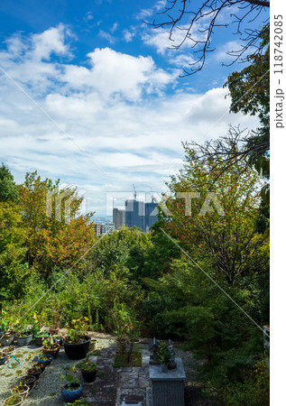 宝塚　遠景 118742085