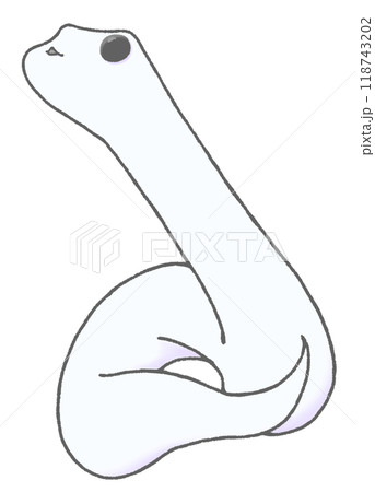 かわいい白いヘビが左上を見上げるイラスト 118743202