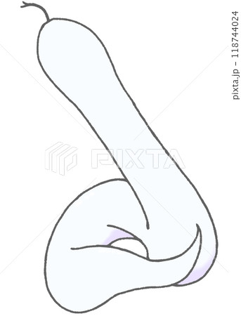 左を見上げるへび(白色) 左を見上げるへび(白色) 118744024