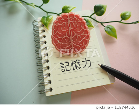 脳の模型イメージの記憶力の文字 118744316