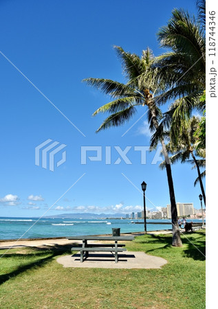 ハワイの休日 118744346