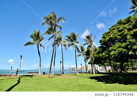 海の見える公園 118744348