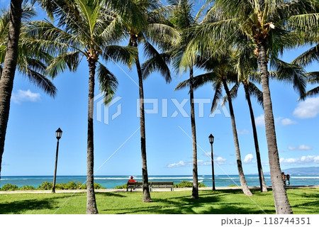 ハワイの休日 ハワイの休日 118744351