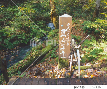 但馬高原植物園の「かつらの千年水」/平成の名水百選/極めて純度の高い軟水/氷ノ山後山那岐山国定公園 118744605