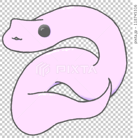 かわいいヘビが丸く巻かれたイラスト(紫色)のイラスト素材 [118745316