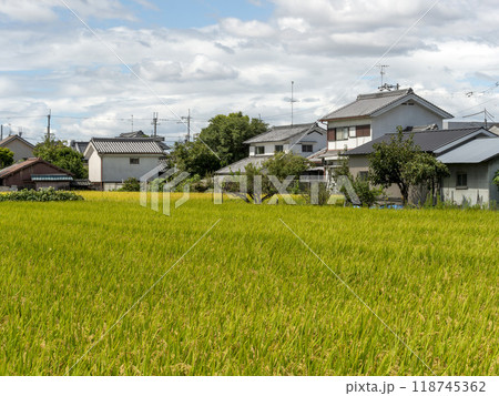 市街地に広がる田園風景 118745362