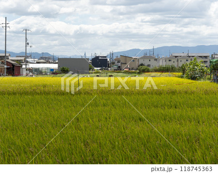 市街地に広がる田園風景 118745363