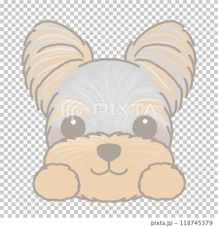 Yorkshire terrier illustrations 118745379