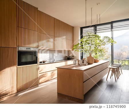 新築の住宅イメージ素材 モダンなキッチン 新築の住宅イメージ素材 モダンなキッチン 118745900