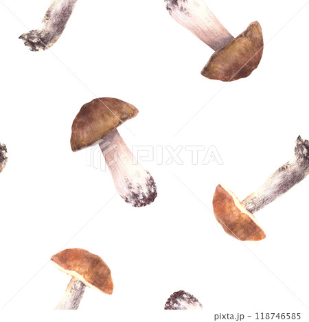 Mushrooms seamless pattern. Edible sorts of fungi forest harvest. Watercolor hand drawn porcini, Boletus with red, orange and brown cap, fungus. Fall clipart. Illustration isolated from background. 118746585