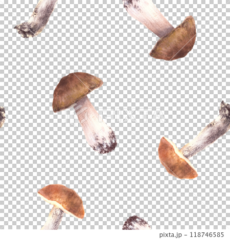 Mushrooms seamless pattern. Edible sorts of fungi forest harvest. Watercolor hand drawn porcini, Boletus with red, orange and brown cap, fungus. Fall clipart. Illustration isolated from background. 118746585