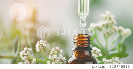Close-up of a dropper placing essential oils into an amber bottle, with delicate white flowers in the background, suggesting natural aromatherapy. 118746818