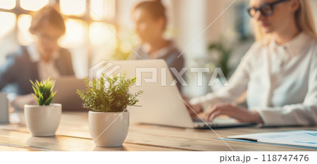 Young professionals working in a modern open office space with natural light and green plants, focusing on laptops and collaborative tasks. 118747476