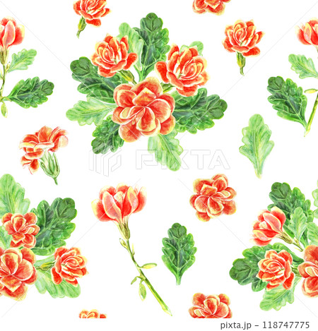 Seamless pattern of kalanchoe flowers and leaves of succulents bouquet. Watercolor hand painted illustration is drawn in red, yellow, orange and green colors on white background. Used in packaging, on Seamless pattern of kalanchoe flowers and leaves of succulents bouquet. Watercolor hand painted illustration is drawn in red, yellow, orange and green colors on white background. Used in packaging, on 118747775