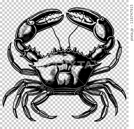 カニの木版画／彫刻画 ベクターイラストのイラスト素材 [118747915