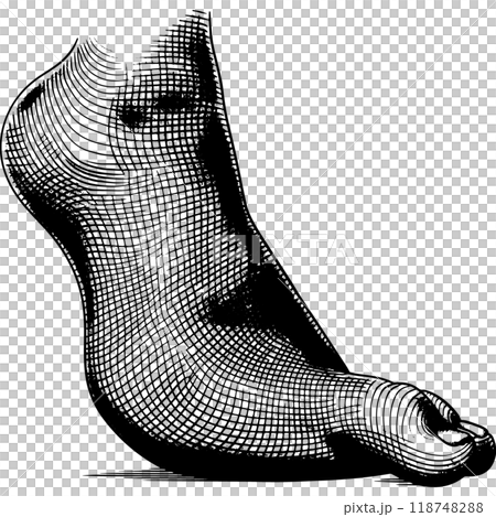 Copperplate illustration of the human foot 118748288
