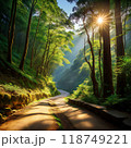 木漏れ日と山道 118749221