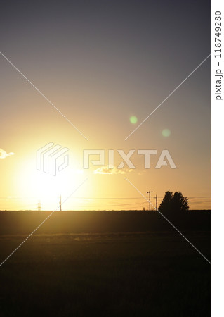 江戸川の土手に沈む夕日 118749280