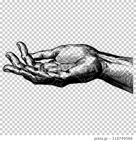 人類手掌的銅版雕刻的向量圖。 人類手掌的銅版雕刻的向量圖。 118749566