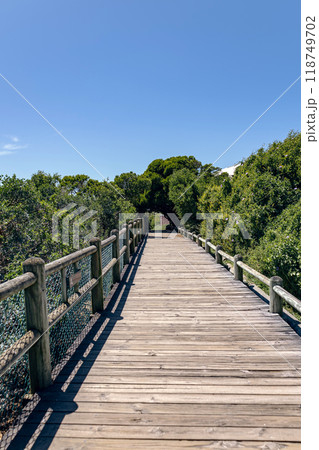 wooden pedestrian bridge, path surrounded by green foliage of trees and bushes. Walkway to the Ocean, South Africa wooden pedestrian bridge, path surrounded by green foliage of trees and bushes. Walkway to the Ocean, South Africa 118749702