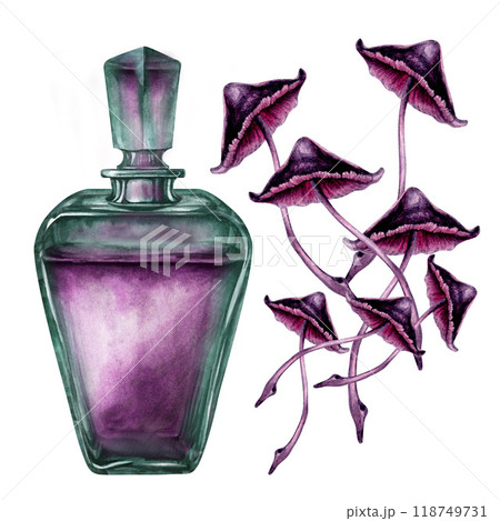 Vertical transparent green bottle with liquid and poisonous purple toadstools. Watercolor illustration template for esoteric, witchcraft, Halloween: invitations, menus, advertising, cards, postcards Vertical transparent green bottle with liquid and poisonous purple toadstools. Watercolor illustration template for esoteric, witchcraft, Halloween: invitations, menus, advertising, cards, postcards 118749731
