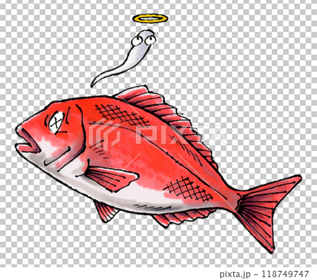 死海鯛 死海鯛 118749747