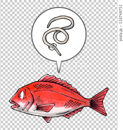 鯛に寄生するアニサキス 118749751