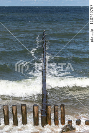 Shore water and breakwater structure made of wooden pillars 118749767