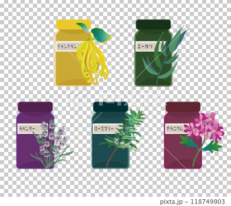Aromatherapy, essential oils, essential oil bottles and illustrations of rosemary, ylang-ylang, lavender, geranium, and eucalyptus 118749903