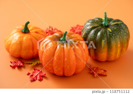 カボチャ かぼちゃ 南瓜 118751112