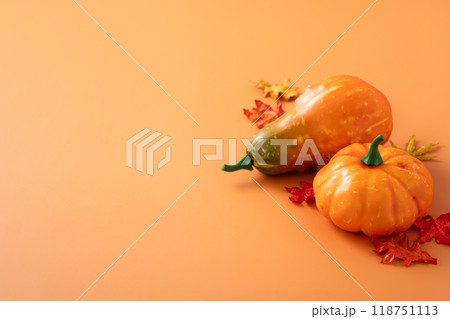 カボチャ かぼちゃ 南瓜 118751113