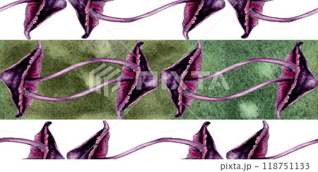 Seamless horizontal border with poisonous purple toadstools on green background. Watercolor illustration template for esoteric, witchcraft, Halloween: invitations, menus, advertising, cards, postcards Seamless horizontal border with poisonous purple toadstools on green background. Watercolor illustration template for esoteric, witchcraft, Halloween: invitations, menus, advertising, cards, postcards 118751133