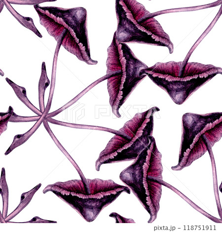 Seamless pattern with poisonous purple toadstools on green background. Watercolor illustration template for esoteric, witchcraft, Halloween: invitations, menus, advertising, cards, postcards Seamless pattern with poisonous purple toadstools on green background. Watercolor illustration template for esoteric, witchcraft, Halloween: invitations, menus, advertising, cards, postcards 118751911