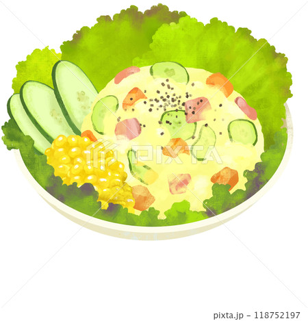 ポテトサラダ サラダのイラスト ポテトサラダ サラダのイラスト 118752197