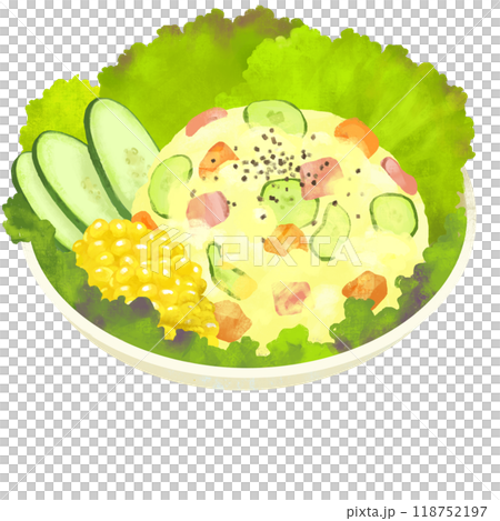 ポテトサラダ サラダのイラスト ポテトサラダ サラダのイラスト 118752197