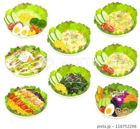 いろんなサラダのイラストセット 118752206