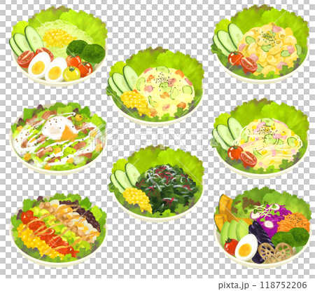 いろんなサラダのイラストセット 118752206