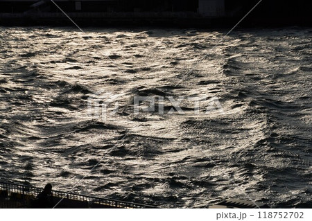 背の高い波 118752702