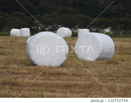 牧場に置かれた牧草ロール 牧場に置かれた牧草ロール 118752749