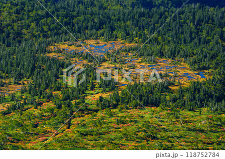 百名山旭岳登山　大雪山旭岳登山道からの紅葉の十勝岳方面の景色 118752784