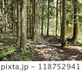 春の新緑の中の小さな道 118752941