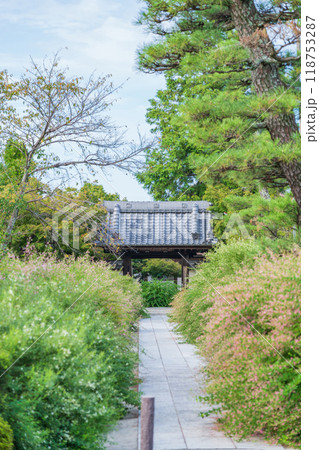 圓光禅寺、満開の萩〈愛知県稲沢市〉 圓光禅寺、満開の萩〈愛知県稲沢市〉 118753287