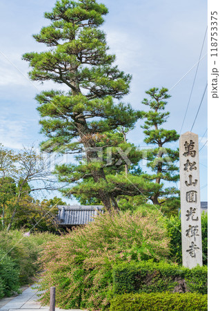 圓光禅寺、満開の萩〈愛知県稲沢市〉 圓光禅寺、満開の萩〈愛知県稲沢市〉 118753375
