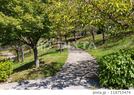 城山公園　長野市 118753474