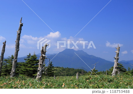瓶ヶ森 登山道から石鎚山を眺める 夏 (四国 愛媛県) 瓶ヶ森 登山道から石鎚山を眺める 夏 (四国 愛媛県) 118753488