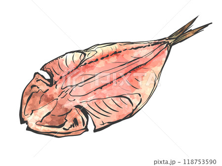 焼く前のアジの開きの手描き筆絵風イラスト 焼く前のアジの開きの手描き筆絵風イラスト 118753590